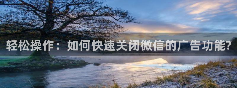 极悦娱乐平台官网注册：轻松操作：如何快速关闭微信的广告功能?