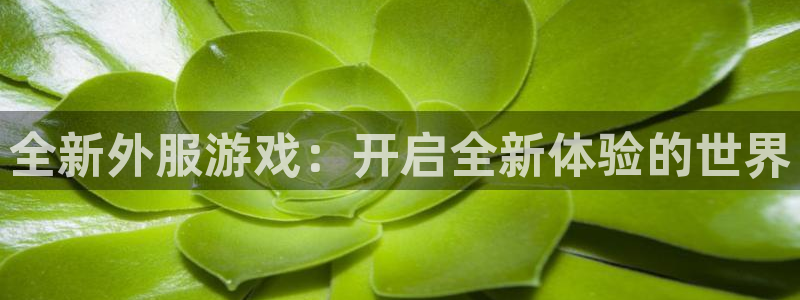 极悦娱乐官网：全新外服游戏：开启全新体验的世界