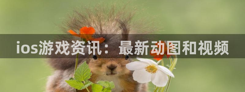 极悦娱乐网页登录入口官网：ios游戏资讯：最新动图和视频