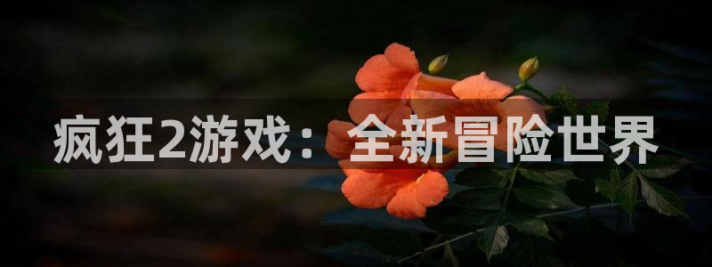 极悦娱乐4开户：疯狂2游戏：全新冒险世界