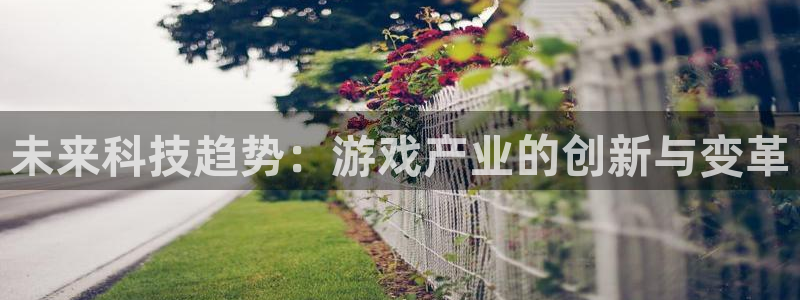 极悦娱乐4招商：未来科技趋势：游戏产业的创新与变革