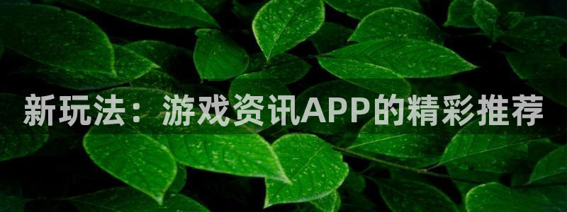 手机版极悦娱乐客户端下载：新玩法：游戏资讯APP的精彩推荐