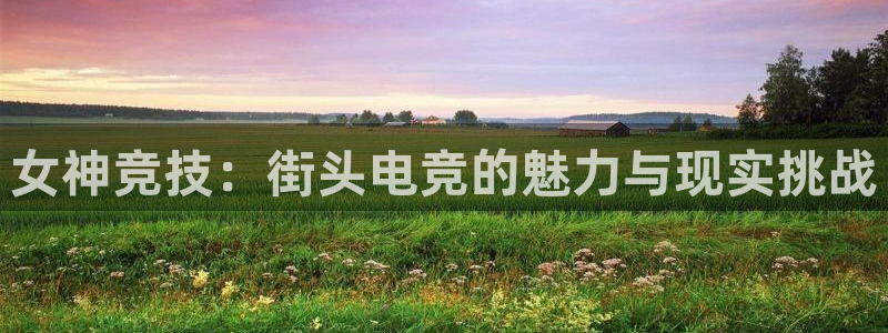 极悦娱乐平台注册资金多少：女神竞技：街头电竞的魅力与现实挑战