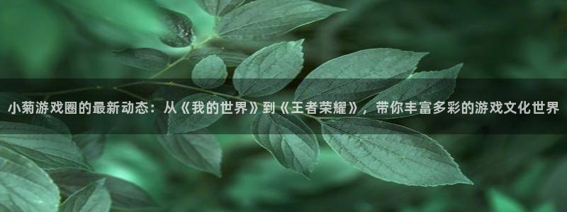 极悦娱乐平台官网注册：小菊游戏圈的最新动态：从《我的世界》到