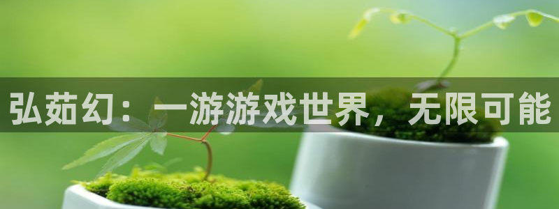 极悦娱乐平台官网入口：弘茹幻：一游游戏世界，无限可能