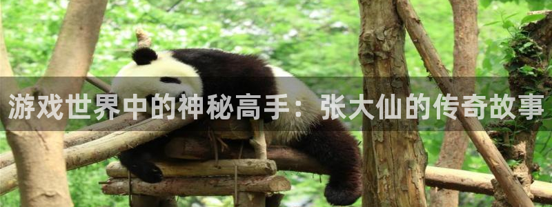 极悦娱乐平台注册：游戏世界中的神秘高手：张大仙的传奇故事