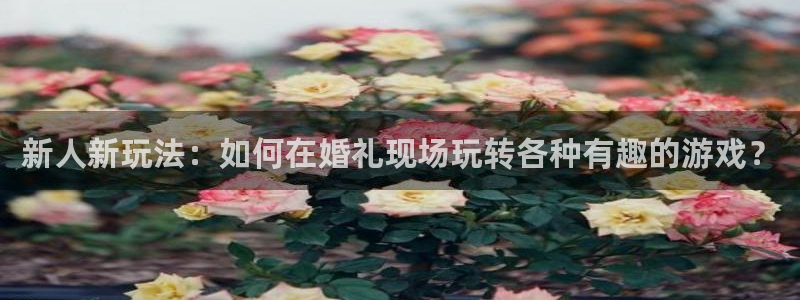 极悦娱乐发短信让客服充值：新人新玩法：如何在婚礼现场玩转各种