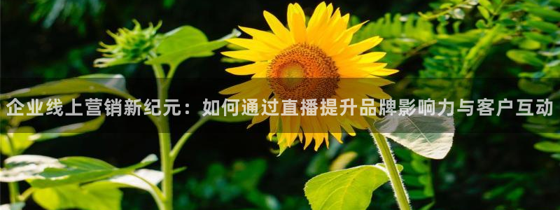 球友体育app免费看球：企业线上营销新纪元：如何通过直播提升品牌影响力与客户互动