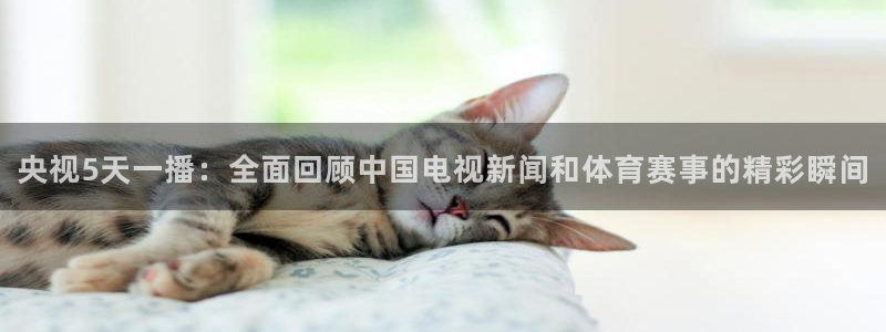 球友体育在线直播：央视5天一播：全面回顾中国电视新闻和体育赛事的精彩瞬间